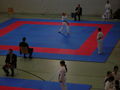 Karate 61138484