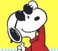 snoopy foi sweety 61149035