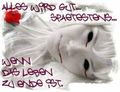 spruchbilder 63564384