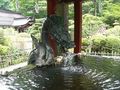 Japan ;D 72347801