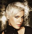 P!NK 61380167