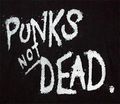 punks not dead... 74620655