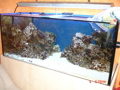 Meerwasseraquarium 34240094