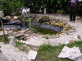 Garten 05.08.06 8351534