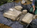 Garten 05.08.06 8351581