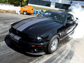 Shelby 62012707