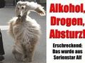 Abgefahrene Tierbilder 62776547