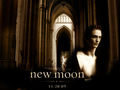 New Moon♥ 62012588