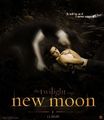 New Moon♥ 62012601