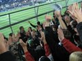 Pasching - SK Rapid   17.3.07 17123935