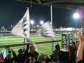 Pasching - SK Rapid   17.3.07 17123964