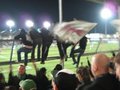 Pasching - SK Rapid   17.3.07 17123967