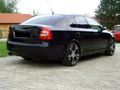 Skoda Octavia 2.0 FSI 67495832