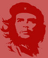 Ernesto Che Guevara & Deniz Gezmis 37796692