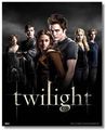 twilight 66551204