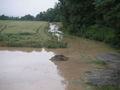 2009-06-24 Hochwasser Kotezicken 63547203