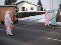 2010-02-13 Faschingsumzug 72093405