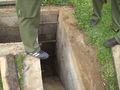 2010-05-01 Maibaumaustellen 73817325