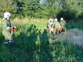 2010-07-09 Inspizierung Kotezicken 74113554