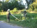 2010-07-09 Inspizierung Kotezicken 74327037