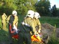 2010-07-09 Inspizierung Kotezicken 74327040