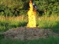 2010-07-09 Inspizierung Kotezicken 74327045
