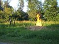 2010-07-09 Inspizierung Kotezicken 74327047
