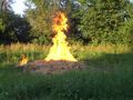 2010-07-09 Inspizierung Kotezicken 74327051