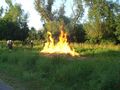2010-07-09 Inspizierung Kotezicken 74327054