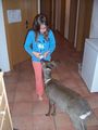 Unser Reh ``Bambi`` 63800739