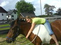 My Horse and I 65640865