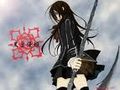 Vampire Knight 73990896