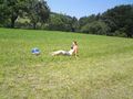 Sommer 2009 68266366