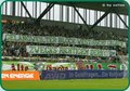 SK Rapid Wien 11638431