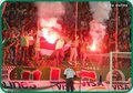 SK Rapid Wien 11638450