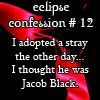 Eclipse Confession 63736857