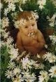 Baby Anne Geddes 63323993