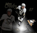 Sid_Crosby87 - Fotoalbum