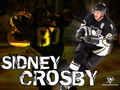 Sid_Crosby87 - Fotoalbum