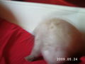 I and my rabbit 63446438