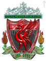 FC LIVERPOOL 16707422