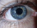 Mein Auge 65796637