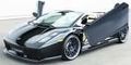 gallardo bilder 66138171