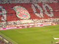 FC Bayern München-Hamburger SV 72134682