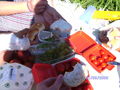 Picknick 66233672