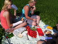 Picknick 66233689