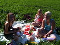 Picknick 66233753