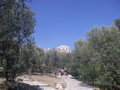 Greece mid di ossis 28389012