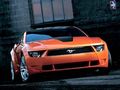 Mustang 63866826