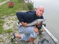 Mein feind der Fisch! 66783379